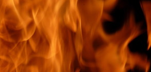Пожар спря временно движението в Кресненското дефиле (ВИДЕО)
