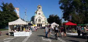 "СОФИЯ ДИША": Центърът на града се превръща в кът за култура (ВИДЕО+СНИМКИ)