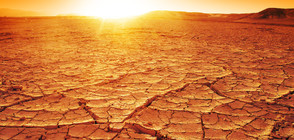 Слънцето - невинно за глобалното затопляне