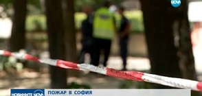 Пожар в ресторант в центъра на София (ВИДЕО)