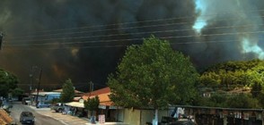 Пожарите на остров Закинтос са овладени