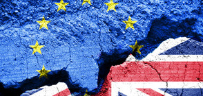 Брюксел поиска от Лондон нови предложения за условията по напускане на ЕС