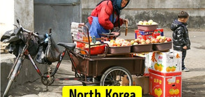 70 ГОДИНИ СЛЕД РАЗДЕЛЕНИЕТО: Поразителните разлики между Северна и Южна Корея (ГАЛЕРИЯ)