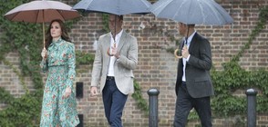 Уилям, Хари и Кейт почетоха паметта на принцеса Даяна (ВИДЕО+СНИМКИ)
