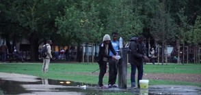 Мигранти създадоха временен лагер в парк в центъра на Брюксел (ВИДЕО)