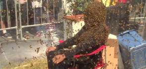 Мъж стоя покрит с пчели повече от час за рекорд (ВИДЕО)