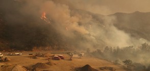 Голям пожар заплашва квартал на Лос Анджелис (ВИДЕО+СНИМКИ)