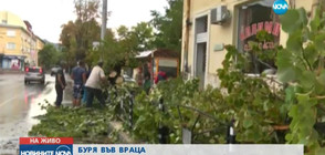 50-годишна жена пострада при силна буря във Враца