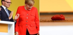 Домат улучи Меркел на предизборен митинг (ВИДЕО)