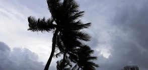 В очакване на урагана „Ирма” (ВИДЕО)