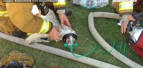 Пожарникари спасиха куче от огъня (ВИДЕО)