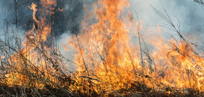 Голям пожар застраши вилната зона над Благоевград