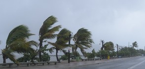 Мощният ураган "Ирма" приближава Хаити и Куба (ВИДЕО+СНИМКИ)