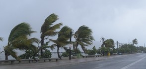 В епицентъра на урагана "Хосе" скоростта на вятъра стигна 200 км/ч