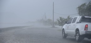 И ураганът "Хосе" ще удари остров Барбуда