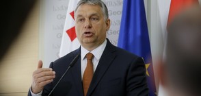 Победата на Орбан - предупреждение за буря, отправено към Брюксел