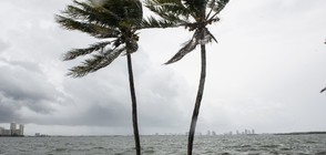Ураганът "Ирма" наближава Флорида (ВИДЕО+СНИМКИ)