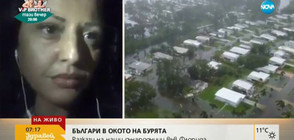 Българи в окото на урагана "Ирма"