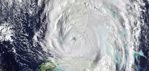Климатолог: Урагани като „Ирма” черпят сила от морската вода