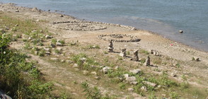 Неизвестен автор "рисува" с камъни на брега на Дунав (СНИМКИ)