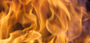 Пожар изпепели седем къщи над Хисаря (ВИДЕО)