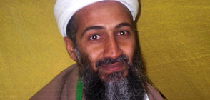 ЦРУ скри огромната порно колекция на Осама бин Ладен