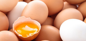 Има ли още опасни яйца на пазара?
