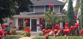 Съседи оставиха 101 балона сърца в двора на жена, болна от рак (ВИДЕО+СНИМКИ)