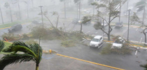 Ураганът "Мария" отне живота на девет души на Антилите