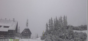 Сняг заваля в Словения (СНИМКИ)