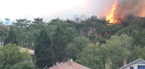 Огромен пожар близо до стадион „Берое” в Стара Загора (ВИДЕО+СНИМКИ)