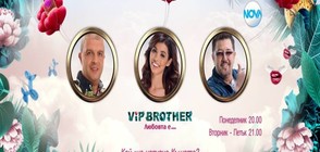 Шеф Петров, Тони Стефанов и Мегз са номинирани за изгонване във VIP Brother 2017