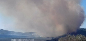 Продължава борбата с огненото бедствие на Халкидики