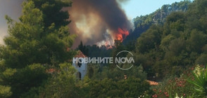 ПОЖАРЪТ НА ХАЛКИДИКИ: Българи бягали от огъня към морето (ВИДЕО)