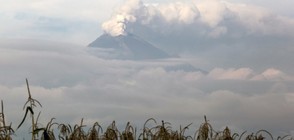 Мексикански вулкан изригна, докато страната се съвзема от труса (ВИДЕО)