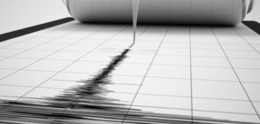 Земетресение от 5,1 по Рихтер разлюля Гватемала