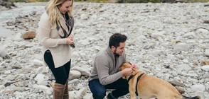 Мъж предложи брак и на кучето си (СНИМКИ)