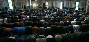 Имамът в централната джамия в Брюксел - радикализиран и опасен