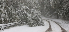 ЗИМА В СТАРА ПЛАНИНА: Проходът „Шипка” осъмна с 40 см снежна покривка
