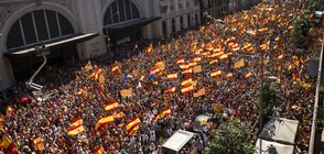Стотици хиляди подкрепиха идеята за единна Испания (ВИДЕО+СНИМКИ)