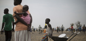 ООН: Нарастващият глад по света изисква преосмисляне на селските райони