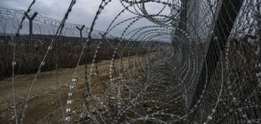 Гръцката полиция арестува българи за трафик на мигранти