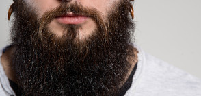 Определиха най-сексапилния мъж с брада в света (ГАЛЕРИЯ)