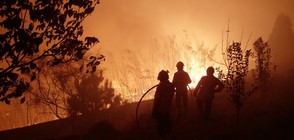 Горски пожари бушуват в Испания и Португалия, има загинали (ВИДЕО+СНИМКИ)