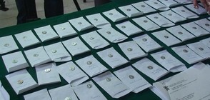 Как изглежда съкровището, открито в корените на дърво в Мездра? (ВИДЕО+СНИМКИ)