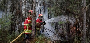 Тридневен траур в Португалия