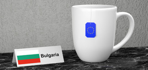 "Евробарометър": 55% от българите подкрепят членството в ЕС