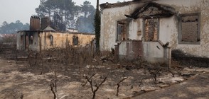 Оставки и вот на недоверие заради пожарите в Португалия