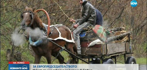 ЗА ЕВРОПРЕДСЕДАТЕЛСТВОТО: Искат пълна забрана за каруци в София (ВИДЕО)