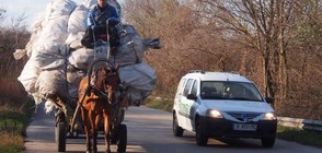 Общинарите в София обмислят забрана на каруците в града